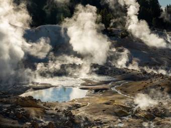 真核生物存活的最高温度记录被打破
