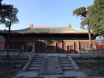 用树轮揭开故宫古木“身世之谜”