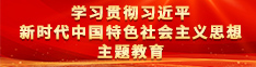 学习贯彻习近平新时代中国特色社会主义思想主题教育