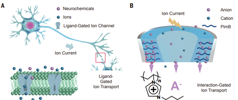6380913957524202697792387.png 6380913957524202697792387.png