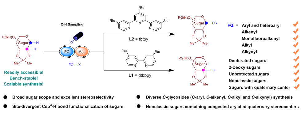 微信图片_20240918104823.png 微信图片_20240918104823.png