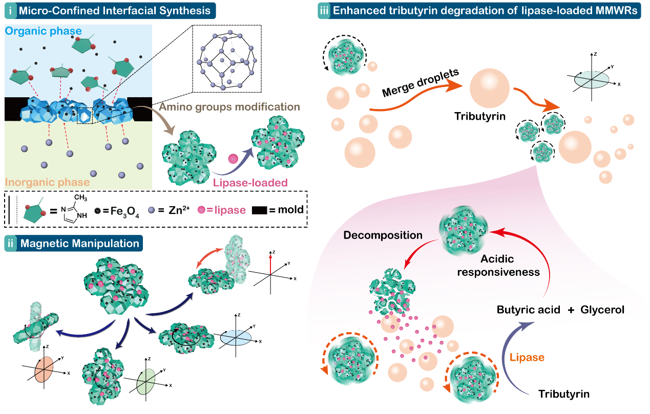 图片7.png 图片7.png