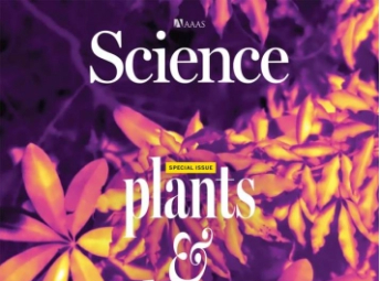 《科学》（20250612出版）一周论文导读